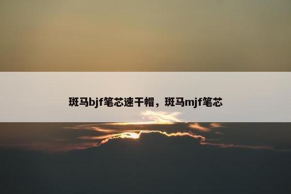 斑马bjf笔芯速干帽，斑马mjf笔芯
