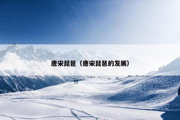 唐宋琵琶（唐宋琵琶的发展）