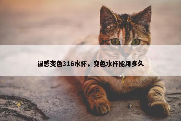 温感变色316水杯，变色水杯能用多久