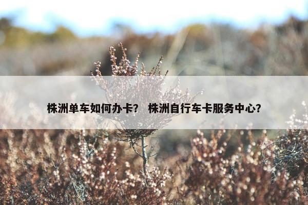 株洲单车如何办卡？ 株洲自行车卡服务中心？
