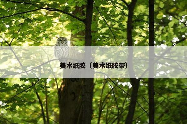 美术纸胶（美术纸胶带）