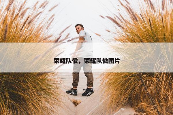 荣耀队徽，荣耀队徽图片
