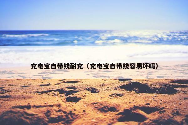 充电宝自带线耐充（充电宝自带线容易坏吗）