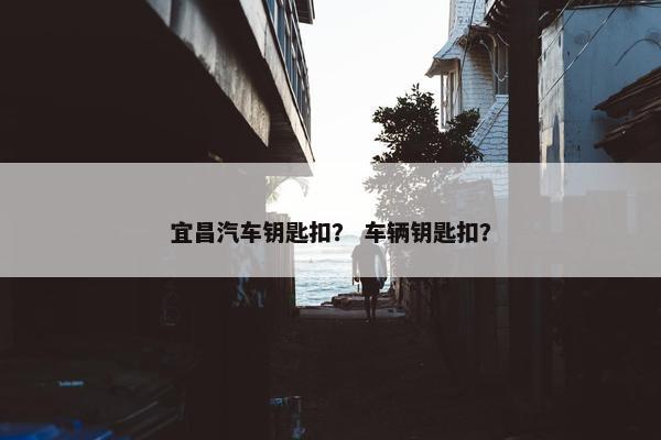 宜昌汽车钥匙扣？ 车辆钥匙扣？