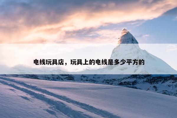 电线玩具店，玩具上的电线是多少平方的
