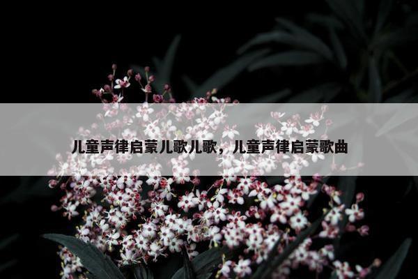 儿童声律启蒙儿歌儿歌，儿童声律启蒙歌曲