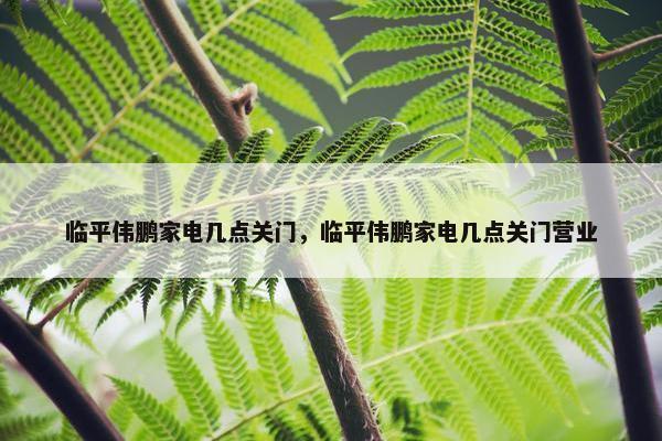 临平伟鹏家电几点关门，临平伟鹏家电几点关门营业