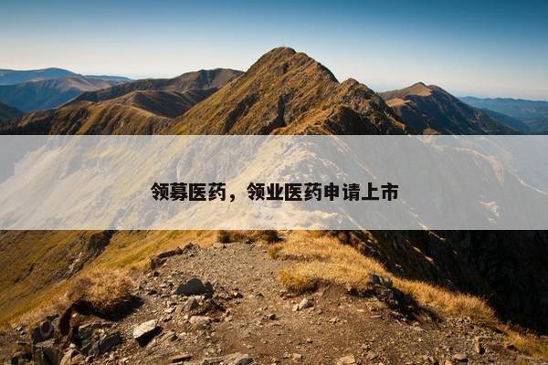领募医药，领业医药申请上市