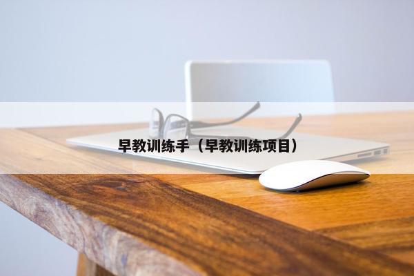 早教训练手（早教训练项目）