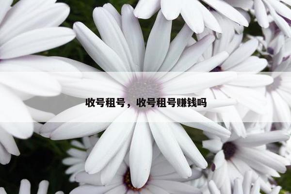 收号租号，收号租号赚钱吗