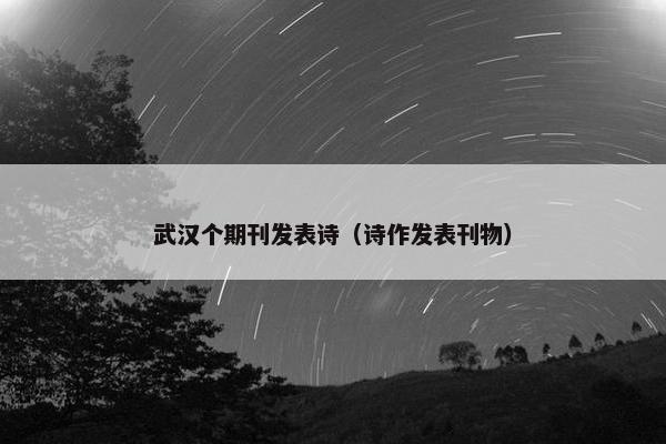 武汉个期刊发表诗（诗作发表刊物）