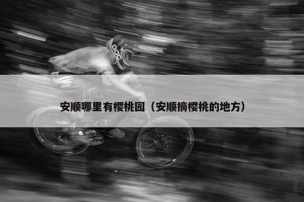 安顺哪里有樱桃园（安顺摘樱桃的地方）