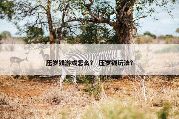 压岁钱游戏怎么？ 压岁钱玩法？