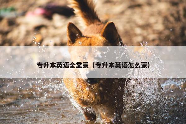 专升本英语全靠蒙（专升本英语怎么蒙）