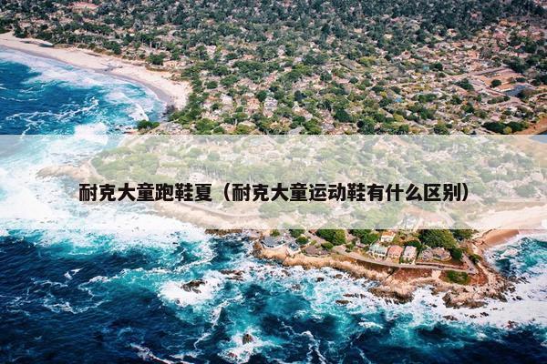 耐克大童跑鞋夏（耐克大童运动鞋有什么区别）
