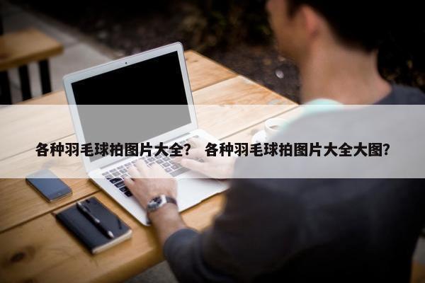各种羽毛球拍图片大全？ 各种羽毛球拍图片大全大图？
