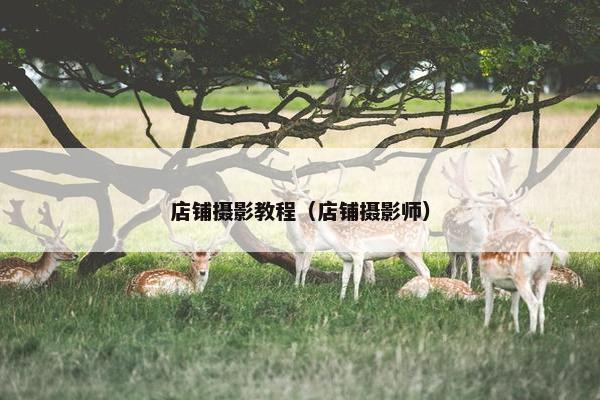 店铺摄影教程（店铺摄影师）