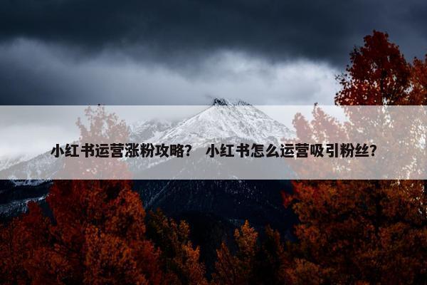 小红书运营涨粉攻略？ 小红书怎么运营吸引粉丝？