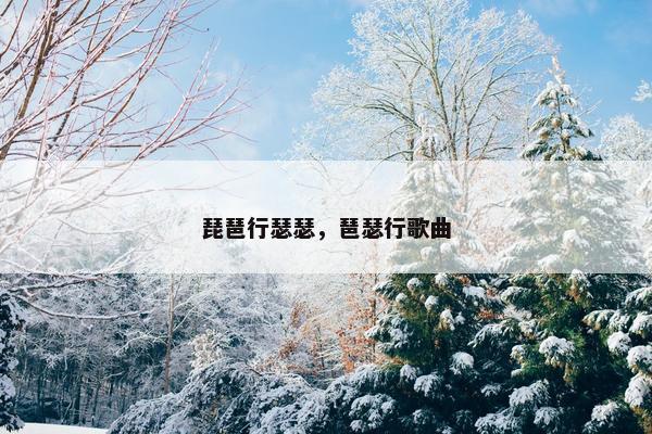 琵琶行瑟瑟，琶瑟行歌曲