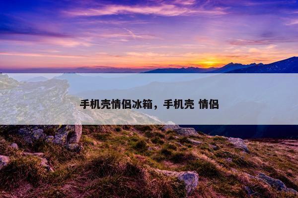 手机壳情侣冰箱，手机壳 情侣