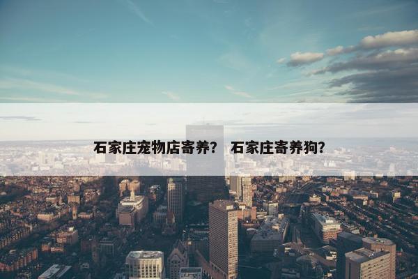 石家庄宠物店寄养？ 石家庄寄养狗？