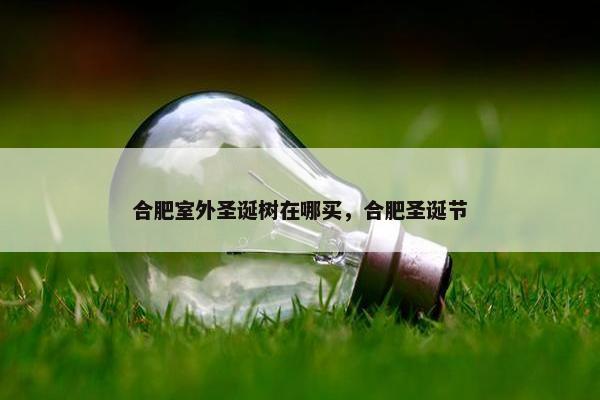 合肥室外圣诞树在哪买，合肥圣诞节