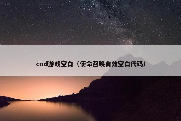 cod游戏空白（使命召唤有效空白代码）