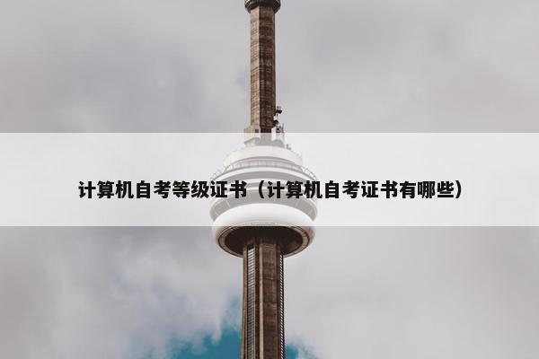 计算机自考等级证书（计算机自考证书有哪些）