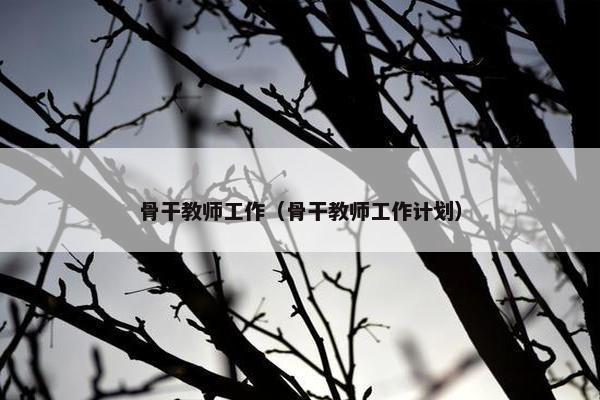骨干教师工作（骨干教师工作计划）