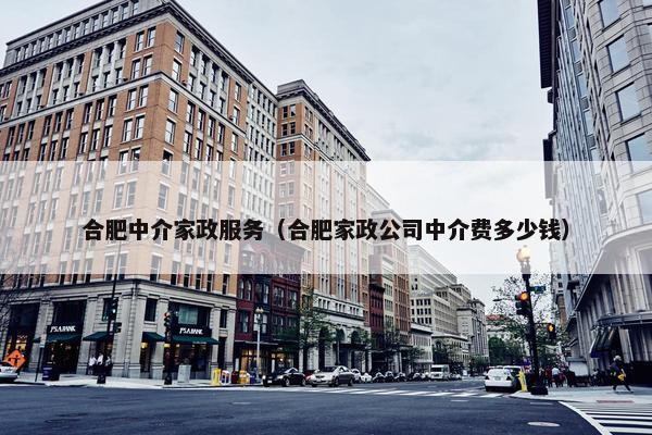 合肥中介家政服务（合肥家政公司中介费多少钱）