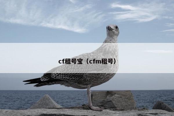 cf租号宝（cfm租号）