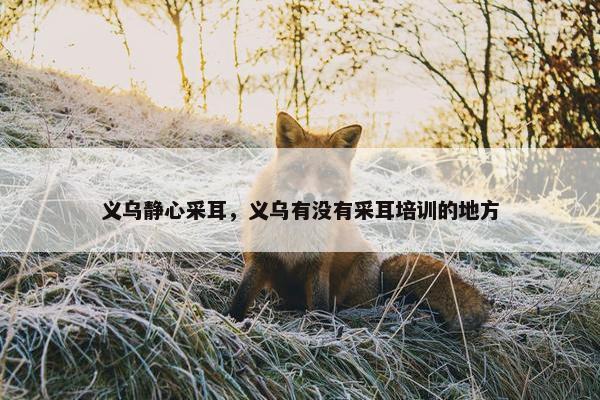 义乌静心采耳，义乌有没有采耳培训的地方