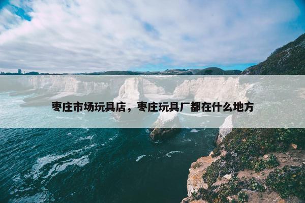 枣庄市场玩具店，枣庄玩具厂都在什么地方