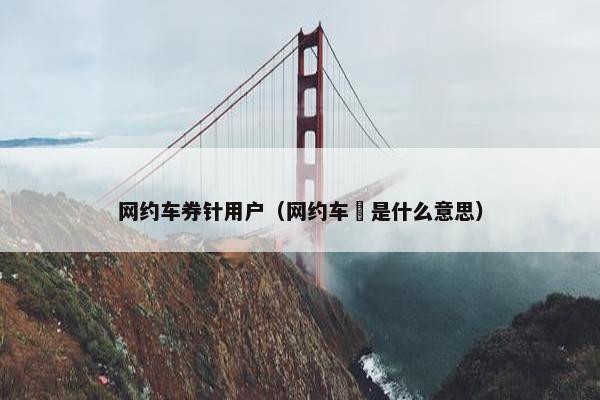 网约车券针用户（网约车劵是什么意思）