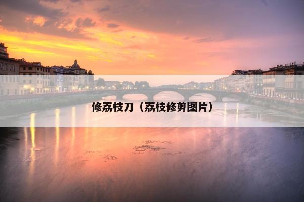 修荔枝刀（荔枝修剪图片）