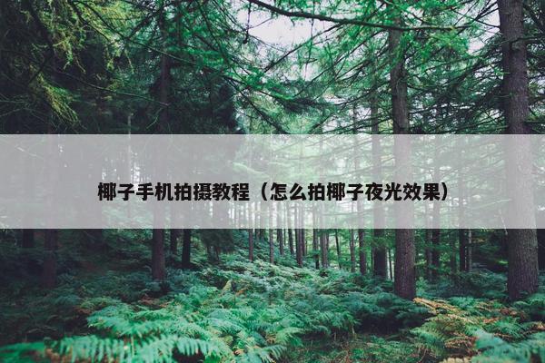 椰子手机拍摄教程（怎么拍椰子夜光效果）