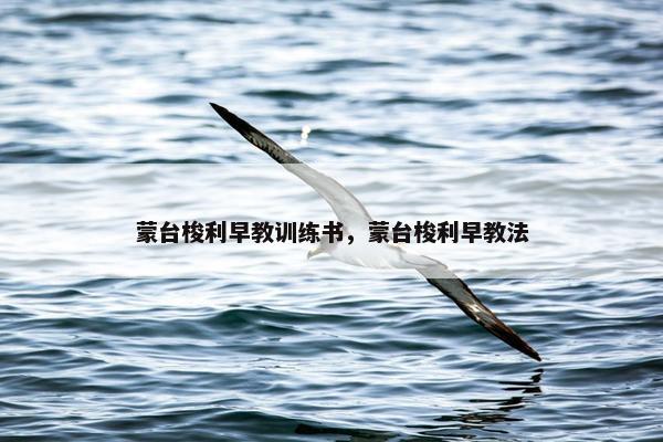 蒙台梭利早教训练书，蒙台梭利早教法