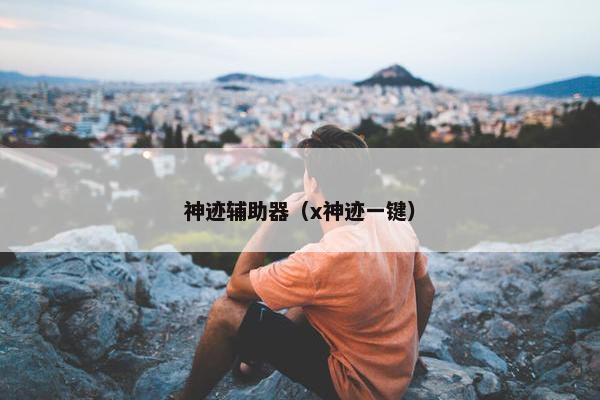 神迹辅助器（x神迹一键）