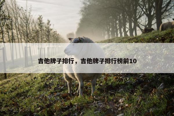 吉他牌子排行，吉他牌子排行榜前10