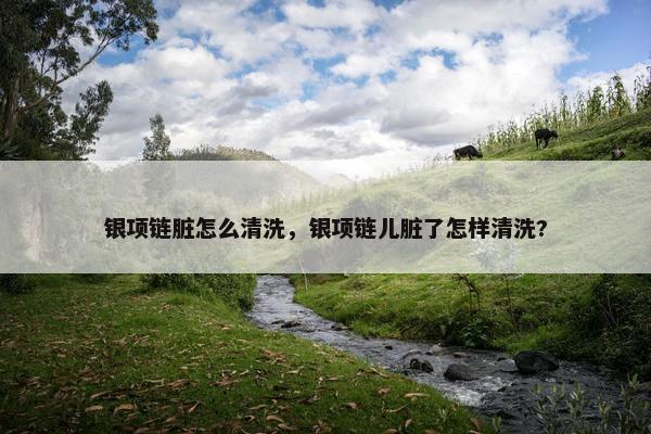 银项链脏怎么清洗，银项链儿脏了怎样清洗?