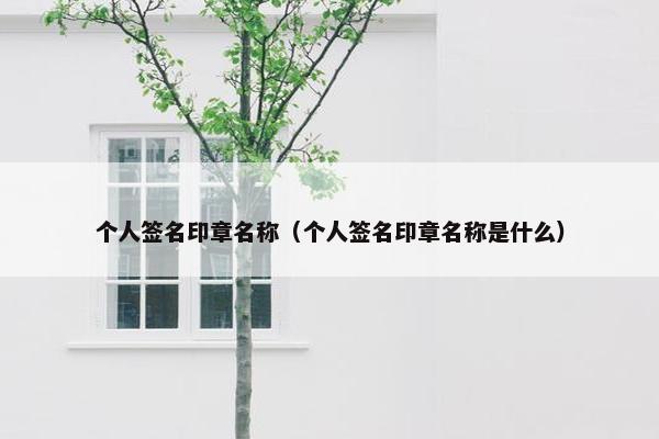 个人签名印章名称（个人签名印章名称是什么）