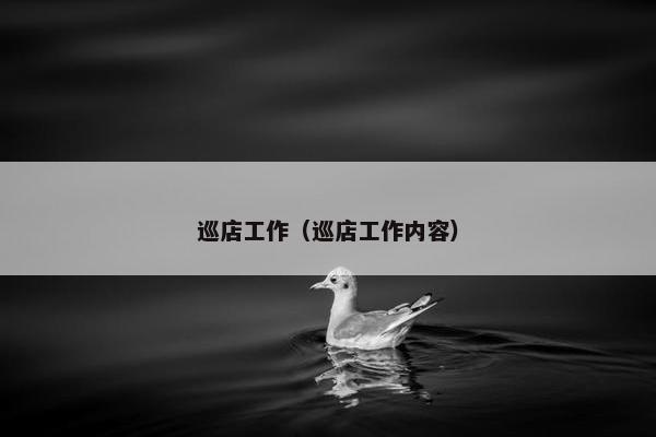 巡店工作（巡店工作内容）