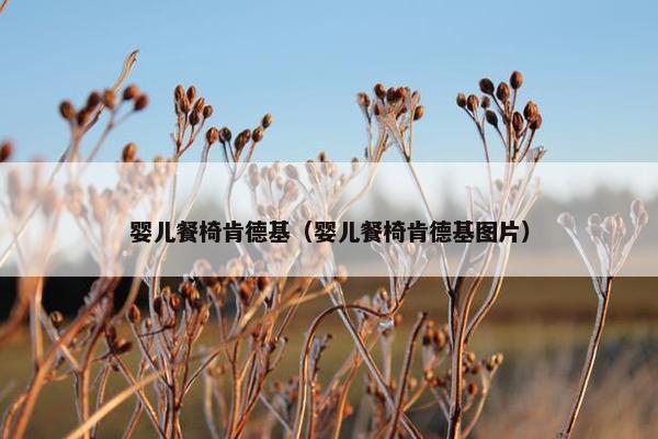 婴儿餐椅肯德基（婴儿餐椅肯德基图片）