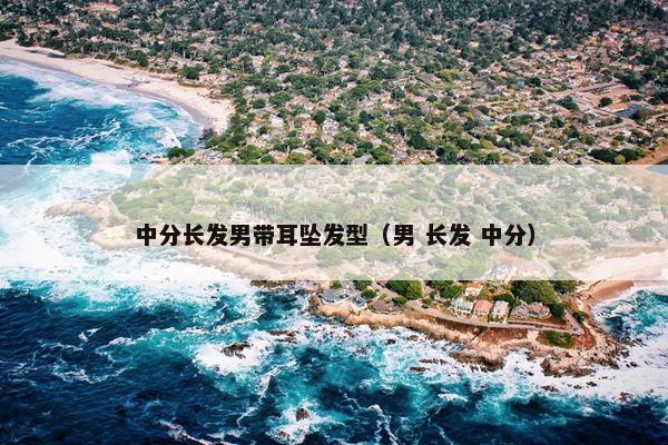 中分长发男带耳坠发型（男 长发 中分）