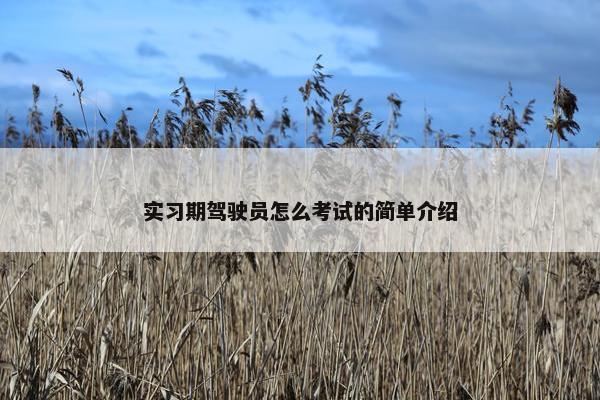 实习期驾驶员怎么考试的简单介绍