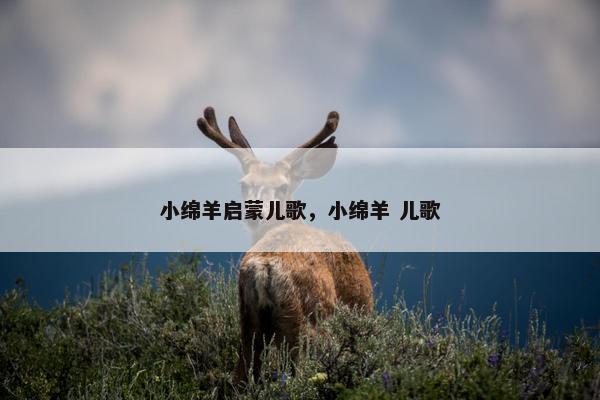 小绵羊启蒙儿歌，小绵羊 儿歌