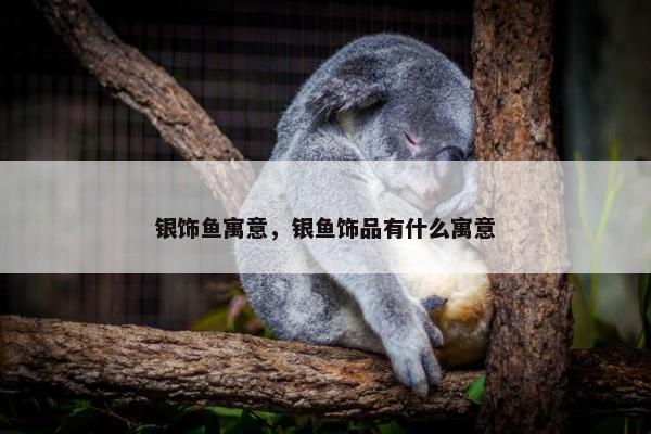 银饰鱼寓意，银鱼饰品有什么寓意
