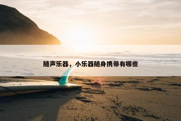随声乐器，小乐器随身携带有哪些