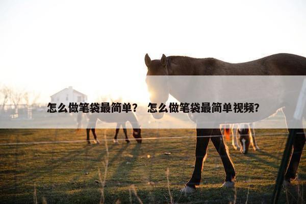 怎么做笔袋最简单？ 怎么做笔袋最简单视频？