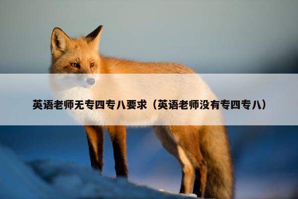 英语老师无专四专八要求（英语老师没有专四专八）